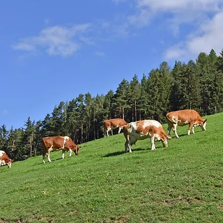 Alloggio per agriturismo Fuchshof Perca