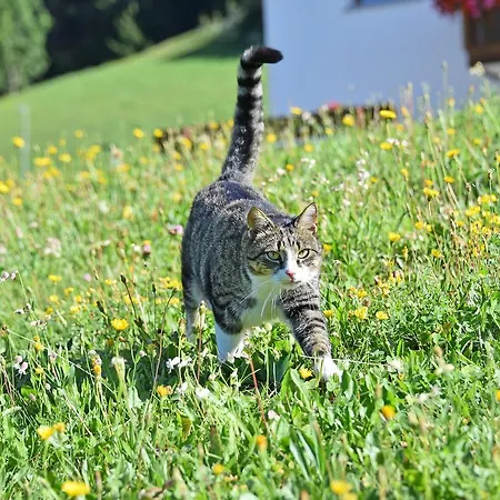 Fuchshof Alloggio per agriturismo